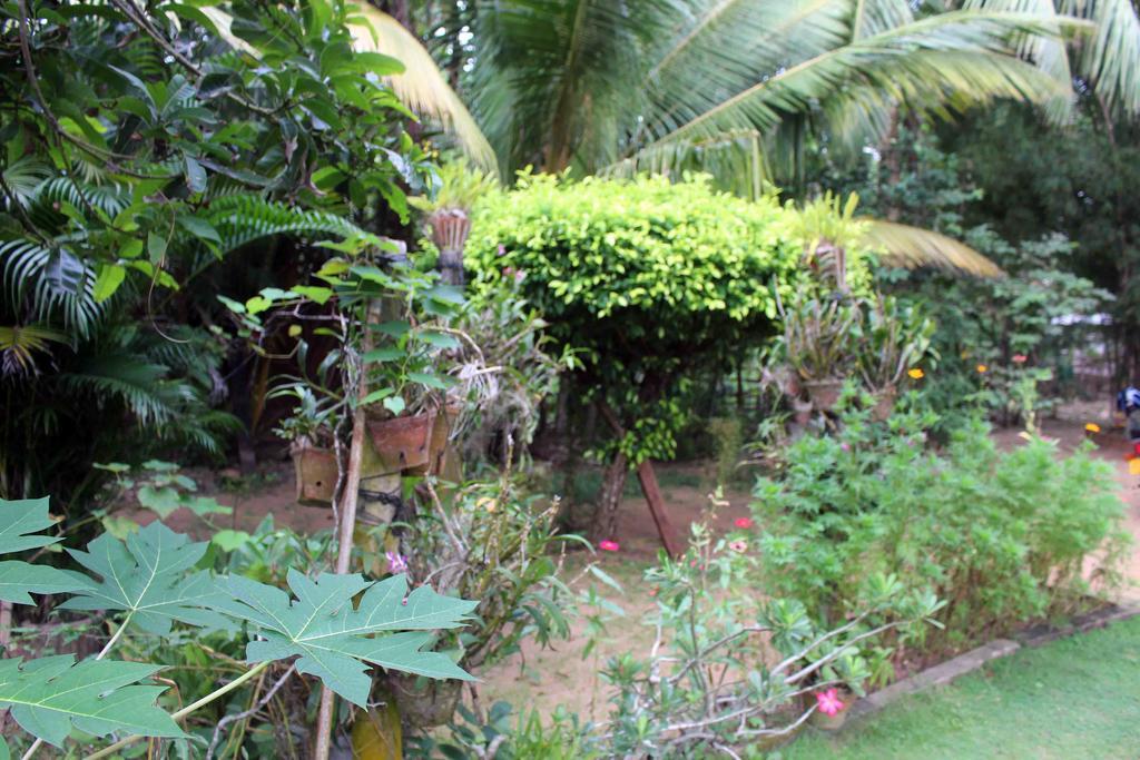 Anura Home Stay Kalutara Eksteriør billede