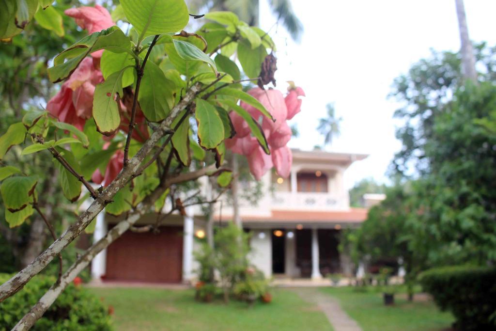Anura Home Stay Kalutara Eksteriør billede